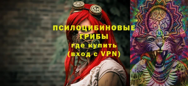 мдпв Алзамай